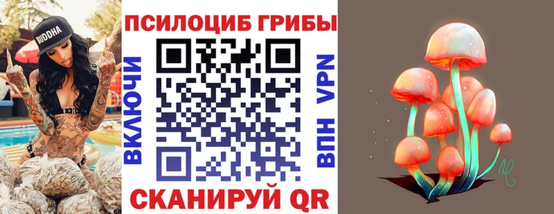 как найти закладки  Буинск  Псилоцибиновые грибы прущие грибы 